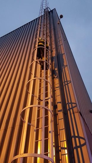 ViewImage-aspx2.jpg
