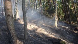 U Hájemství hořelo v lese, hasiči dopravovali vodu na místo z přehrady Les Království. Příčinou požáru bylo nedbalostní jednání při manipulaci s otevřeným ohněm. 