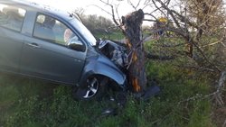 Řidič osobního vozidla a motocyklista narazili do stromu