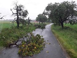Středeční bouřka napáchala nejvíce škod na Žďársku