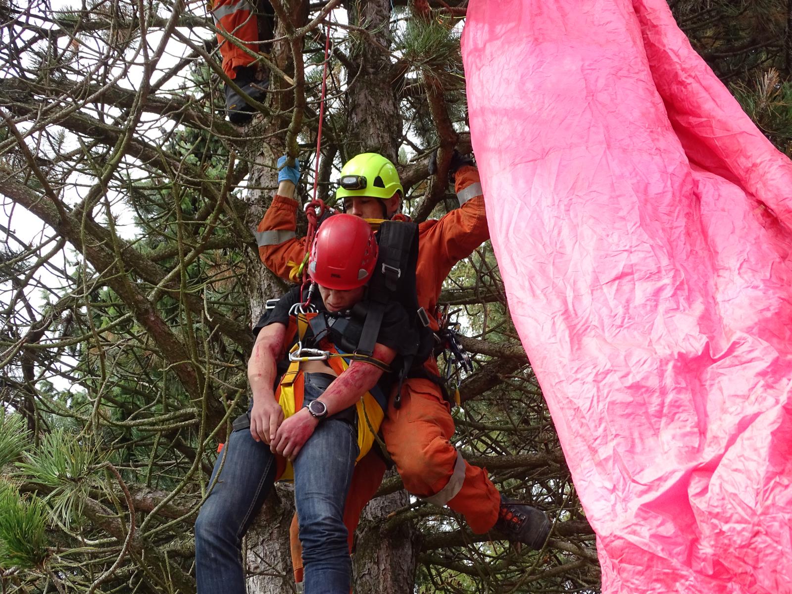 ViewImage-(12).jpg ViewImage-(12).jpg