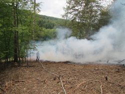 Požár lesního porostu v blízkosti Zbojnické studánky