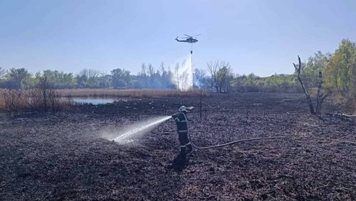 Požár porostu zaměstnal desítky hasičů 