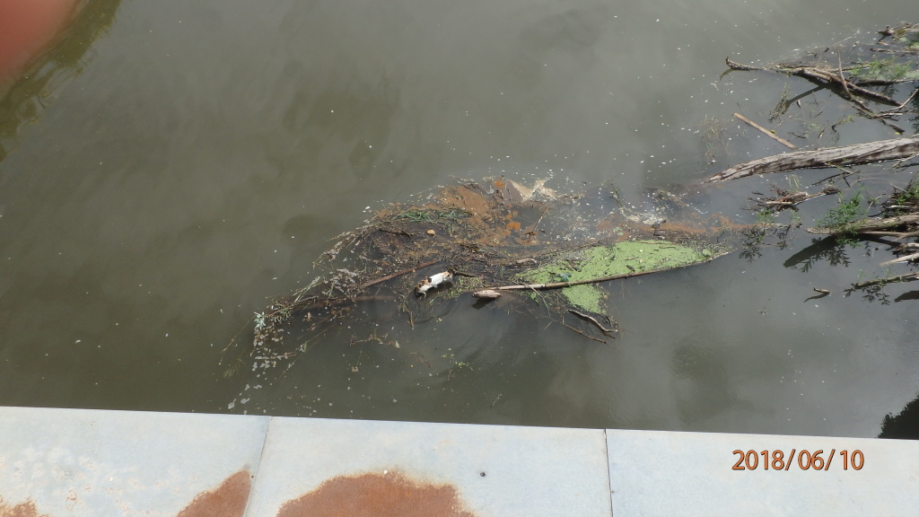 kocka-1-(1).jpg kocka-1-(1).jpg