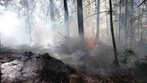 Rychlý zásah zastavil oheň před větší katastrofou