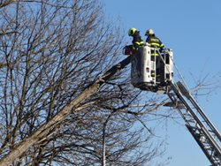 Ostravští hasiči šikovně pokáceli nebezpečný  strom vysoko nad silnicí