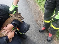 Během července vyjížděli hasiči mnohokrát