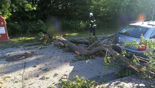Silný vítr zaměstnal hasiče. Strom spadl na jedoucí auto, posádka vyvázla bez zranění