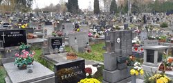 Památka zesnulých aneb Jak nezapálit dušičkovou výzdobu