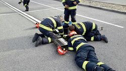 Osm káčat jsme vypustili zpět do přírody