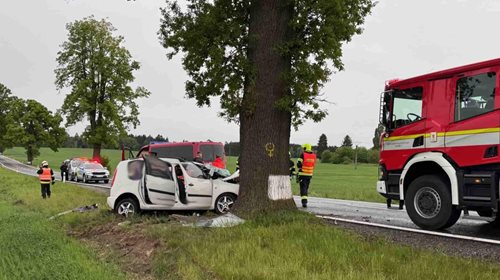 Řidiče po nárazu do stromu vyprošťovali hasiči hydraulickým zařízením