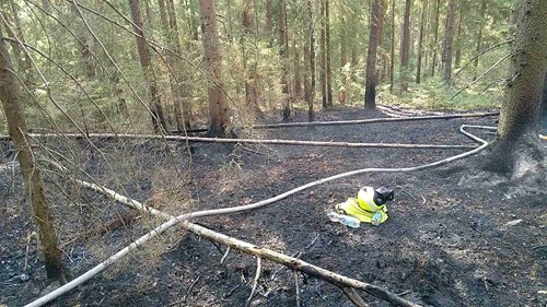 Lesní porost zachvátil požár na ploše 150 × 200 metrů. Hasiči vyhlásili druhý stupeň poplachu
