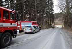 Hasiči odstraňovali popadané stromy. Situace ale nebyla nijak dramatická