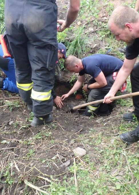 df-(1).jpg df-(1).jpg