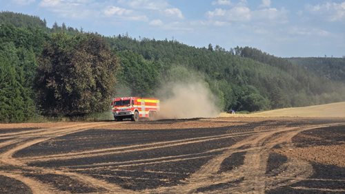 Žně skončily požárem: oheň sežehl tři hektary pole a hektar lesa u Ludvíkova