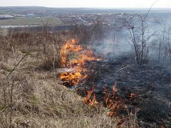 Pálení trávy a jiného odpadu mimo kontrolovaný prostor