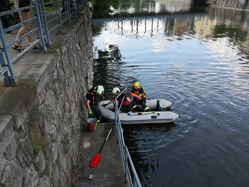 Uprostřed jihočeské metropole se topil ježek