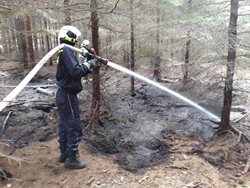 Táborští profesionální hasiči likvidovali požár lesa