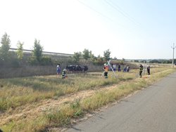 Po nehodě traktoru se krávy rozutekly po cestě a mířily na dálnici