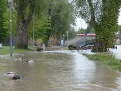 Desítky výjezdů hasičů v Moravskoslezském kraji kvůli „velké“ vodě