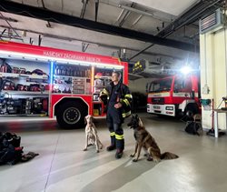 Zahraniční štáb natáčí dokument o kynologovi HZS LBK Václavovi Vančurovi