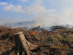 U požáru lesa na Bruntálsku u Razové asistoval i vrtulník