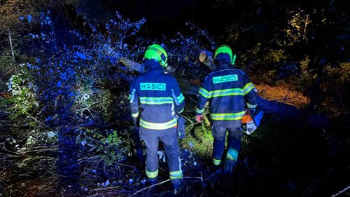 Bouřka zaměstnala hasiče. Řešili 46 událostí, čerpali vodu a odstraňovali stromy