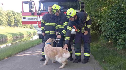 Pes uvízl ve skruži. Hasiči ho vytáhli z hloubky a vrátili majitelce