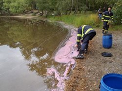Neznámá růžová látka pokryla hladinu Kamenného rybnika v Plzni