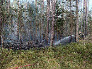 Požár lesa odhalený z výšky zaměstnal několik jednotek