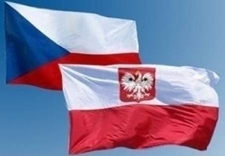 Tři české jednotky hasičů pomáhaly s likvidací požáru u Jarkówa v Polsku