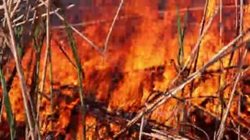 V obci Ratiboř na Vsetínsku zasahovali hasiči u požáru suché trávy