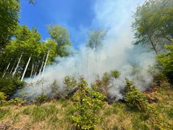 Požár lesního porostu u Jedlové