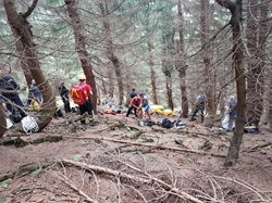 Hasiči zachraňovali paraglidistku. Muže se podařilo z větví stromů vyprostit nezraněného. 
