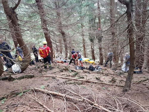 Hasiči zachraňovali paraglidistku. Muže se podařilo z větví stromů vyprostit nezraněného. 