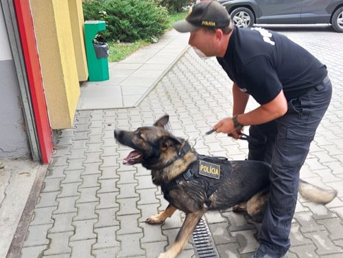 Psovodi ze tří zemí trénovali pátrání po lidech i zásahy v terénu