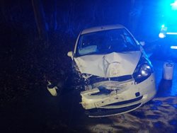 Jízdu osobního automobilu ukončil strom.