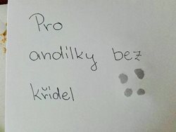 Poděkování neznámé dárkyni