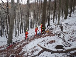 Paraglaidista skončil v koruně třiceti metrového stromu