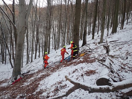 Paraglaidista skončil v koruně třiceti metrového stromu
