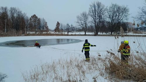 Ledová past pro psa, hasiči zasáhli v poslední chvíli
