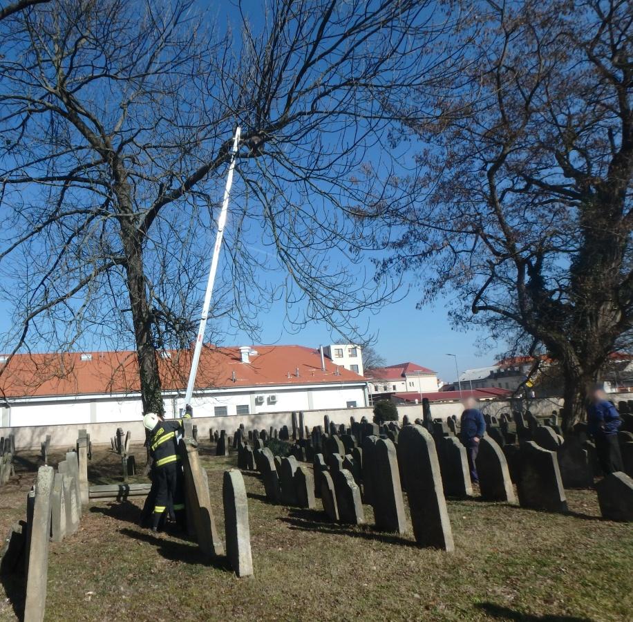 novy-Bydzov1-(1).jpg novy-Bydzov1-(1).jpg