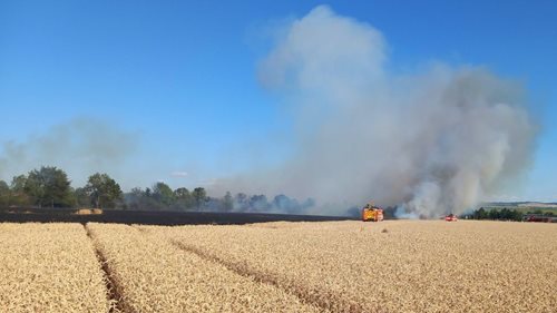 Požáry se šířily kvůli suchu a větru. Na jižní Moravě hořely lesy, pole i obilná pole, pomáhal vrtulník Black Hawk