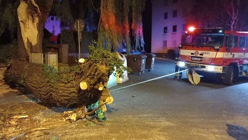 Třicet čtyři výjezdů za jednu noc: vítr srazil stromy na silnice i koleje