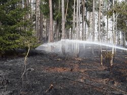 Požár lesa za sebou zanechal škodu 200 tisíc korun, na místě zasahovaly čtyři jednotky hasičů