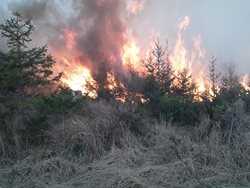 AKTUALIZACE: Hasiči vyjeli k 9 požárům lesa. Největší řešili u Nových Valteřic