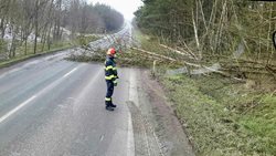 Více než čtyřicet zásahů za noc kvůli popadaným stromům