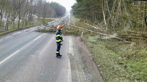 Více než čtyřicet zásahů za noc kvůli popadaným stromům
