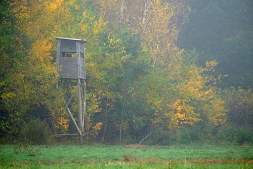 Pátrání v lesích skončilo záchranou muže díky rychlé spolupráci policistů a myslivců