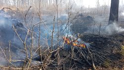  Rozsáhlý lesní požár  pomáhal  likvidovat i vrtulník PČR 